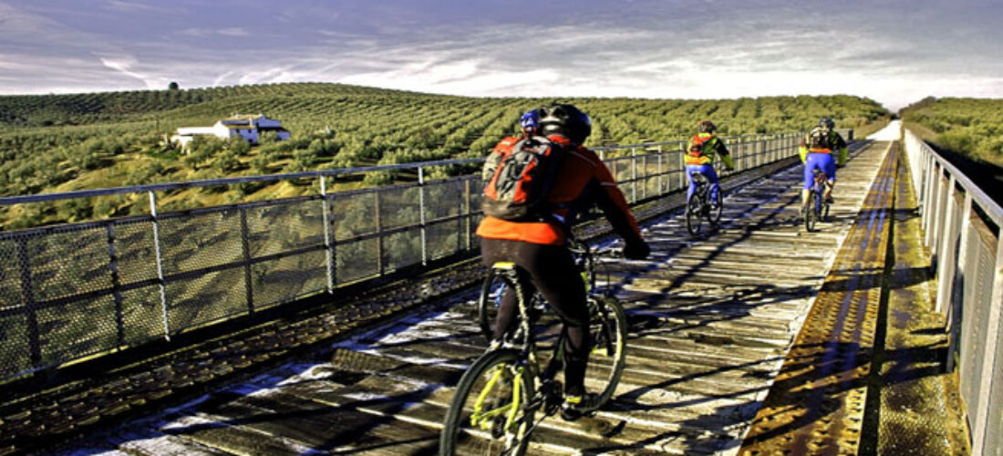 Ruta en bici por la Vía verde del Aceite, Jaén