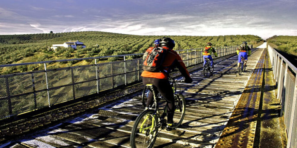 Ruta en bici por la Vía verde del Aceite, Jaén