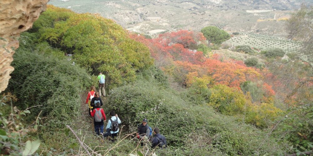 Los Zumaques, ruta en la naturaleza en la Sierra Sur