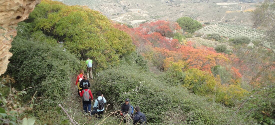 Los Zumaques, ruta en la naturaleza en la Sierra Sur